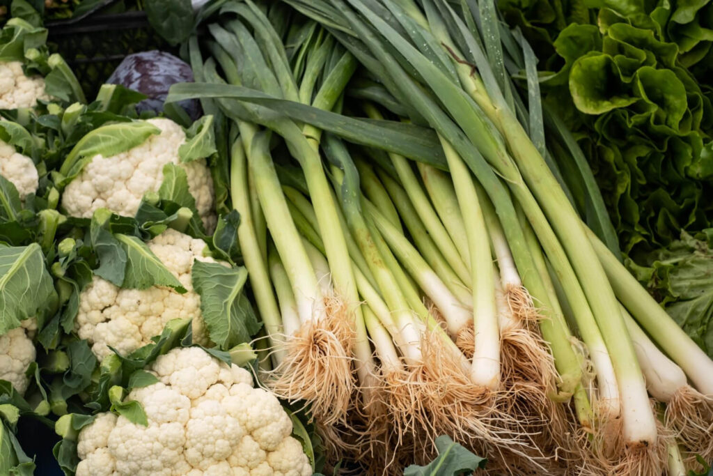 Poireaux dans un potager