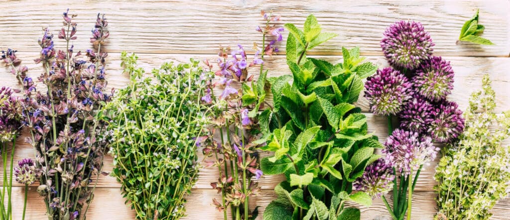 Comment créer un jardin vertical DIY avec des matériaux de récupération 3 plantes aromatiques jardin vertical DIY