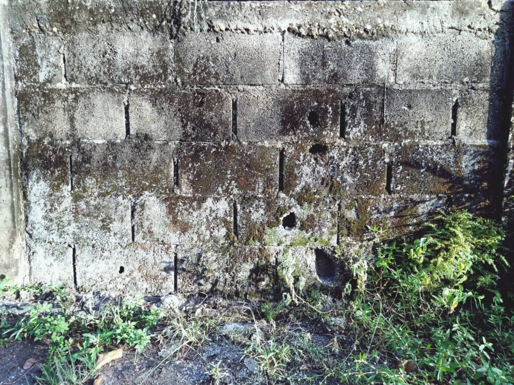 Mur en parpaing abîmé par la pluie car il a été laissé sans enduit de protection.