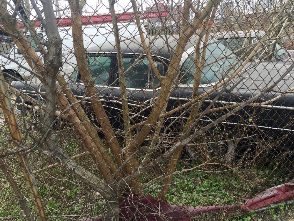 Un tas de branches et de tontes de gazon entassé contre un grillage mitoyen dans un jardin.