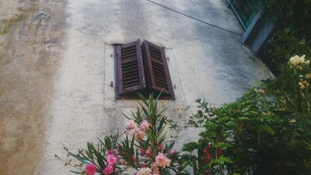 Vue depuis une fenêtre d'étage donnant directement sur le jardin et la terrasse d'un voisin.
