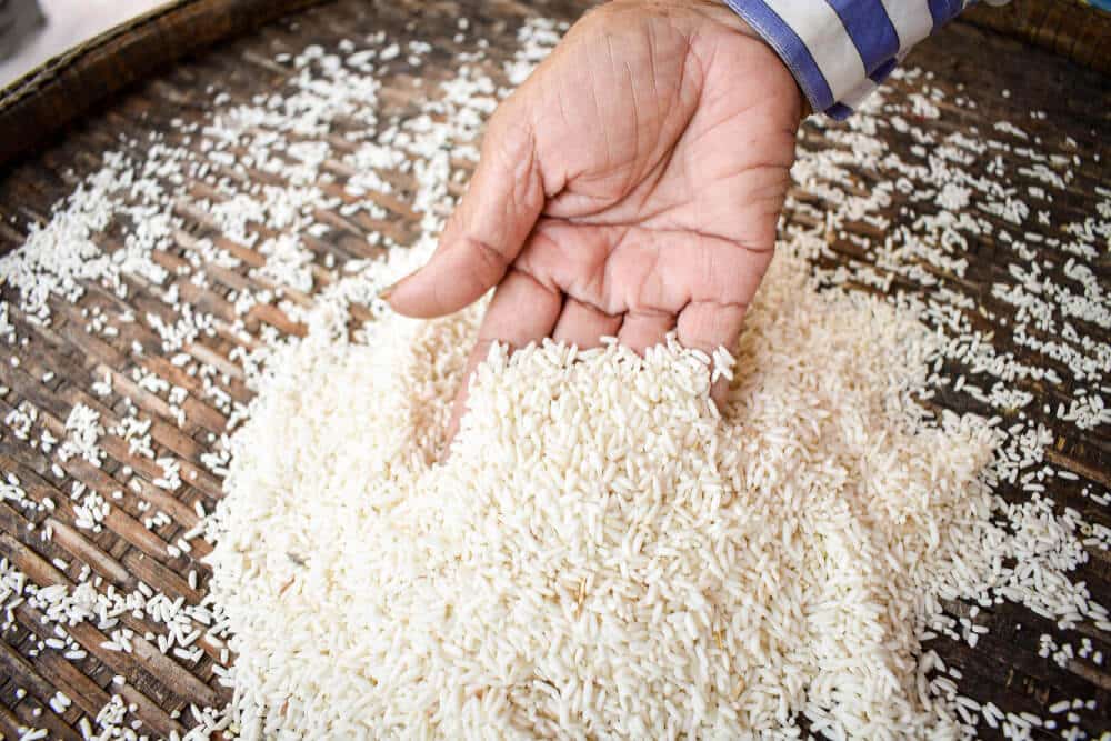 Des charançons dans le riz : peut-on encore le manger ? 3