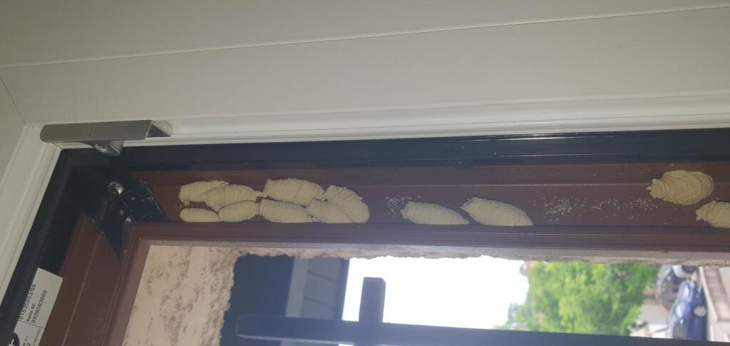 Gros plan d'un nid en terre de guêpe maçon (pélopée) collé sur un cadre de fenêtre.