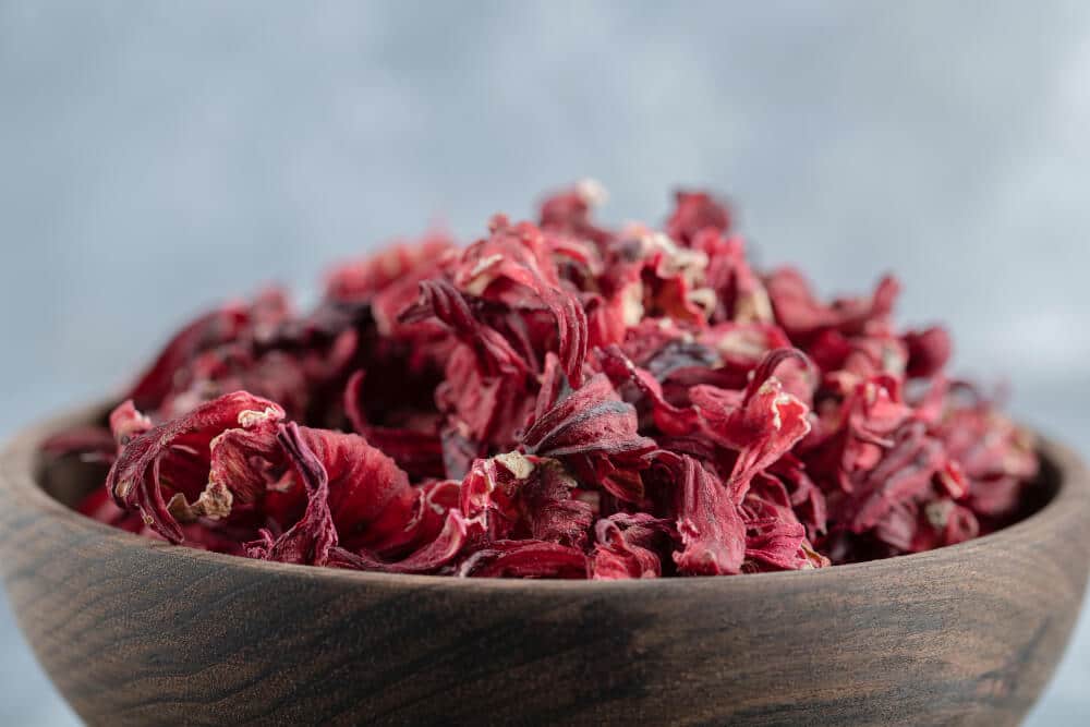 Mon hibiscus a gelé : est-il mort et comment le sauver ? 3