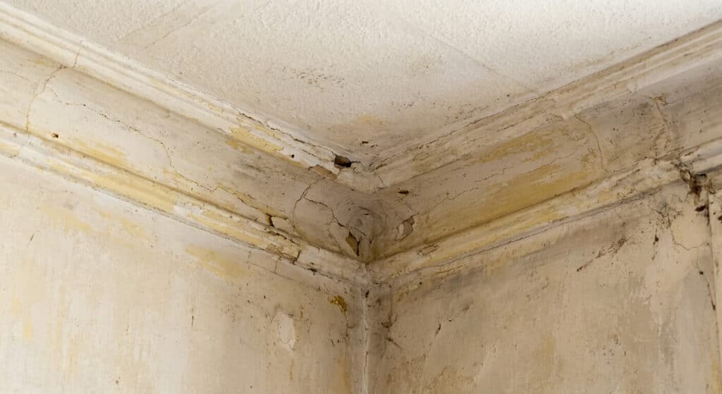 Gros plan sur l'angle rentrant entre un mur et un plafond, appelé cueillie, avant les travaux de peinture.