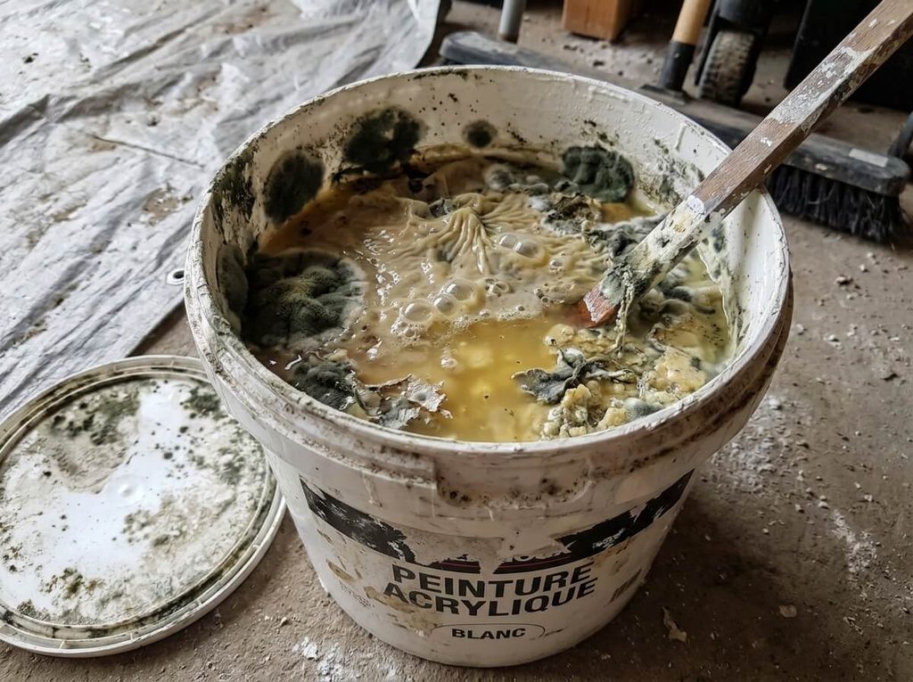 Peinture qui sent l'œuf pourri ou le moisi : causes, risques et solutions 3 Pot de peinture acrylique ouvert ayant fermenté avec prolifération bactérienne.